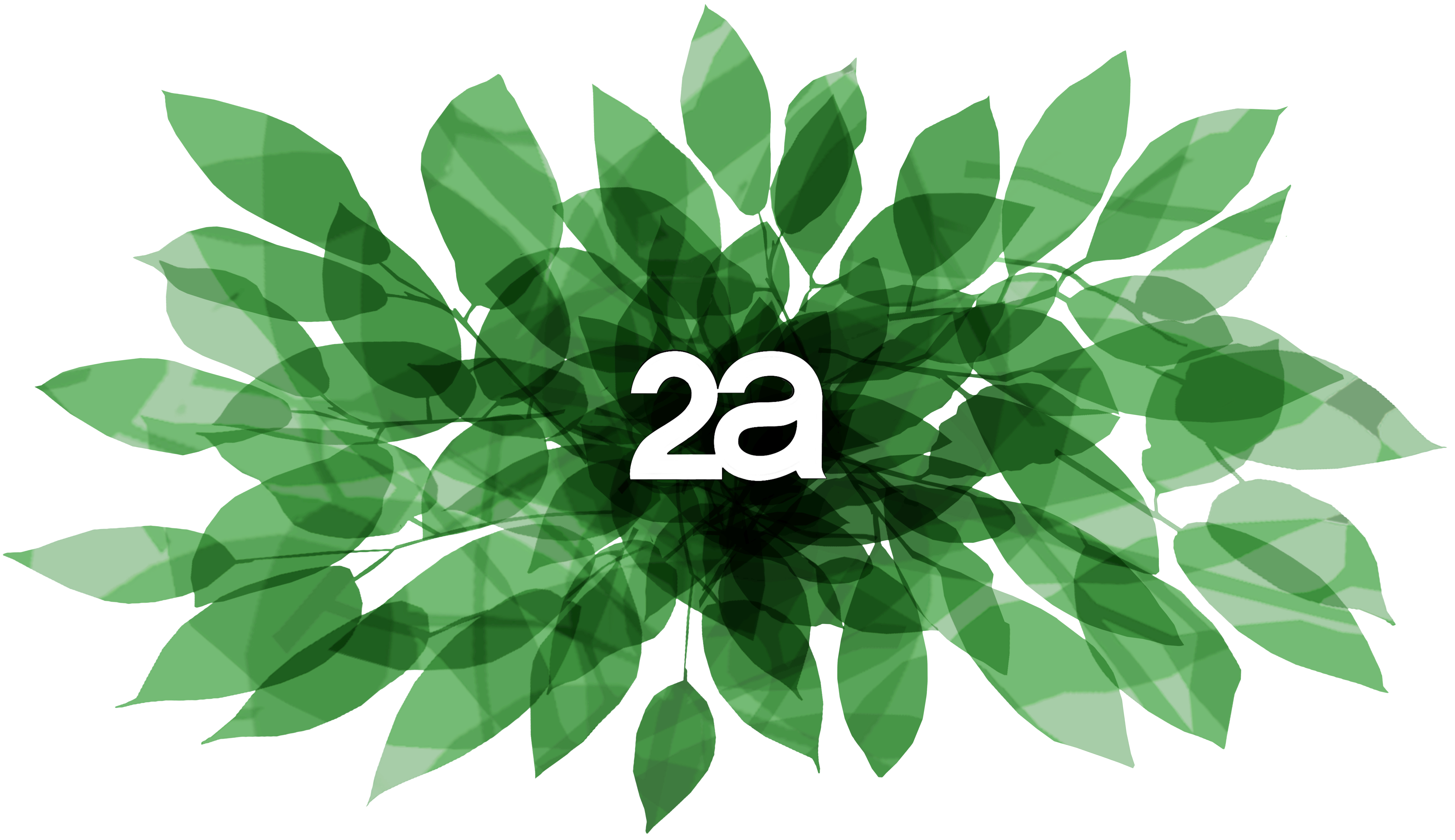Logo 2a S.p.a.